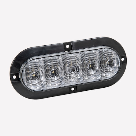 Tecniq 6" Oval Horiz Wht Lght Srf Mnt Pgtail TQ T61-WCHP-1